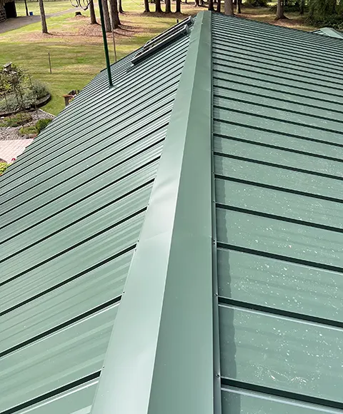 About Pro Lions Roofing