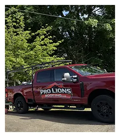 About Pro Lions Roofing