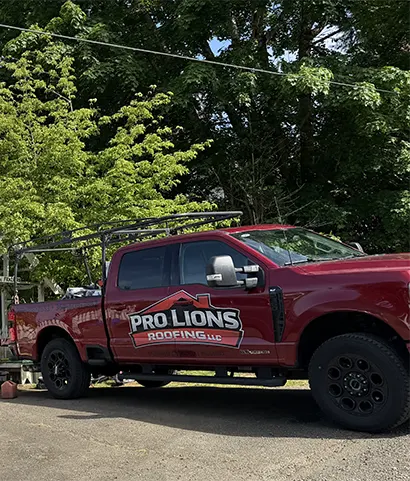 Contact Pro Lions Roofing LLC