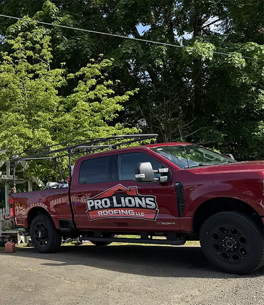 Why Choose Pro Lions Roofing