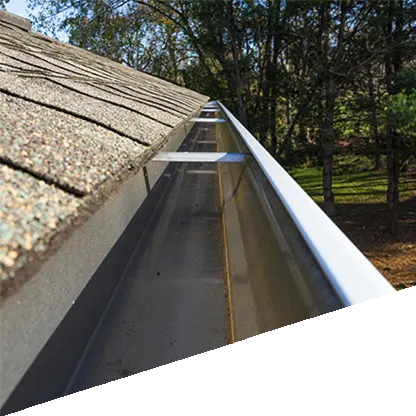 Gutter Cleaning