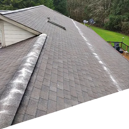 Roof Cleaning
