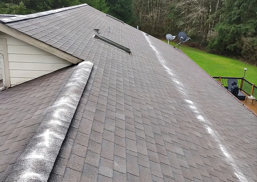 roof-cleaning
